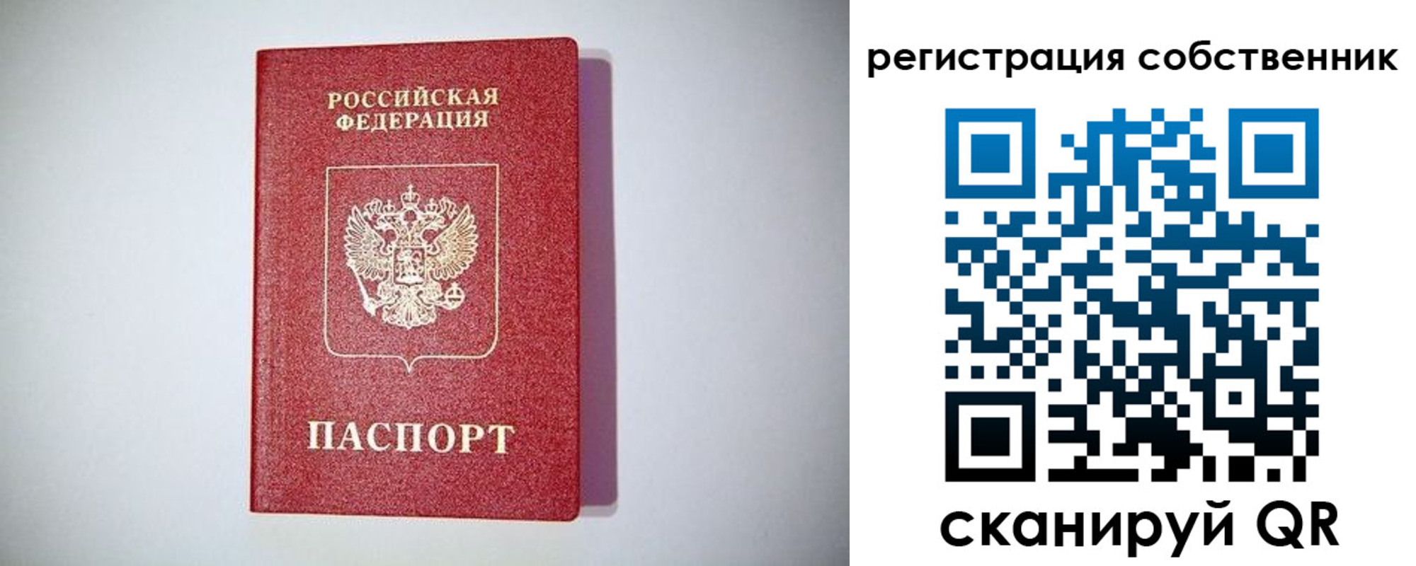 временная регистрация для школы в Чайковском